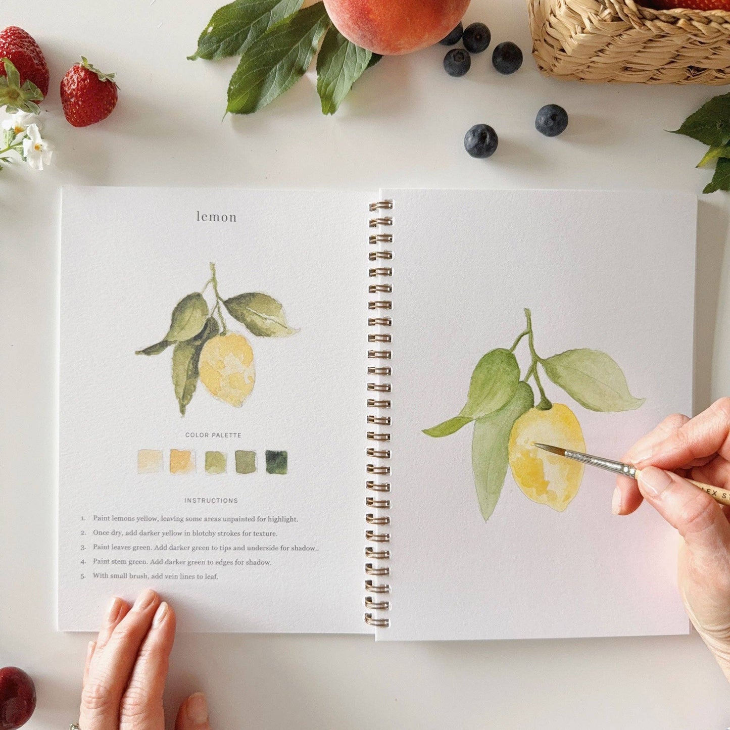 Fruit Watercolour Workbook by Emily Lex