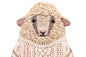 Sheep | Embroidery Doll Kit (Level 3)