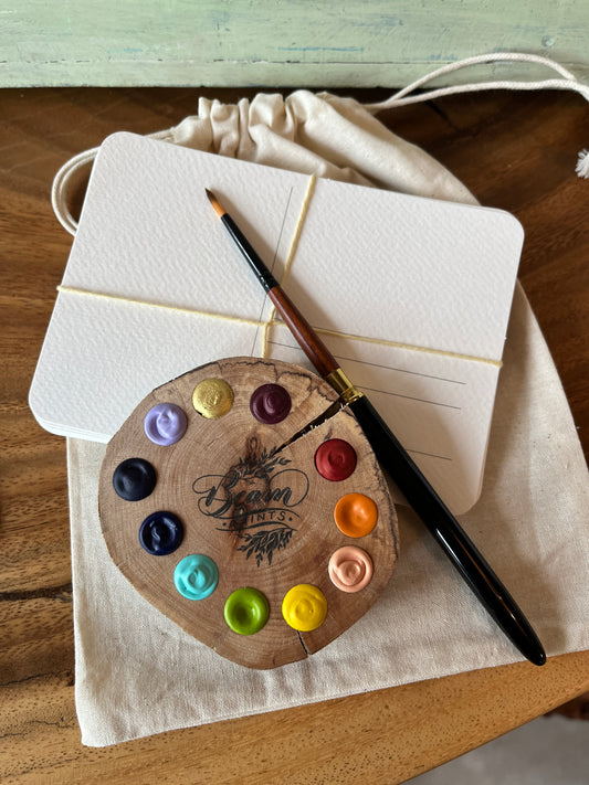 Deluxe 11 colour Beam Paint Bundle