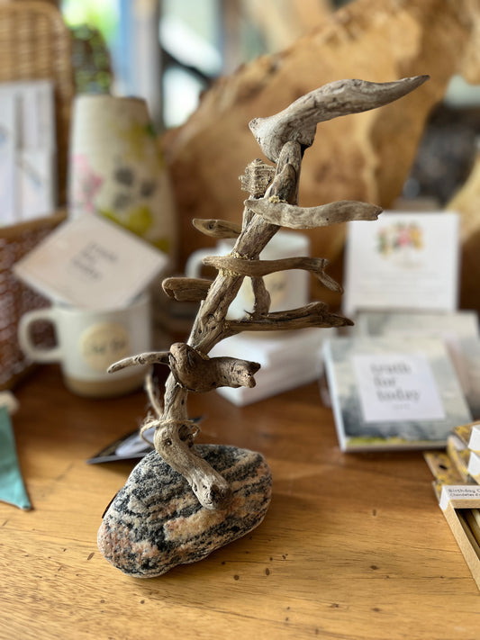 Small Windswept Pine Driftwood Sculpture
