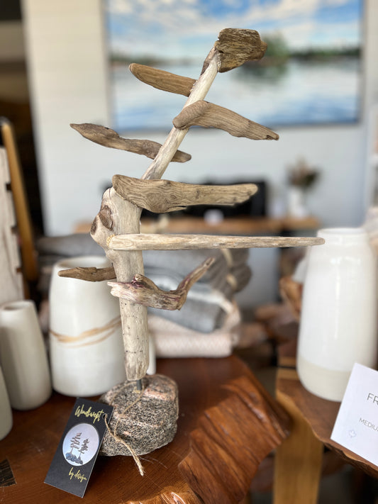 Medium Windswept Pine Driftwood Sculpture
