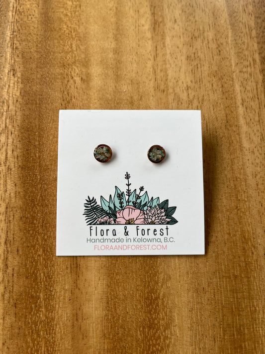 Round Stud Earrings with Preserved Flowers | Assorted Colours