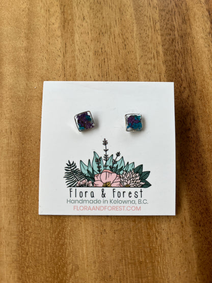 Clous d'oreilles carrés | Argent nautique