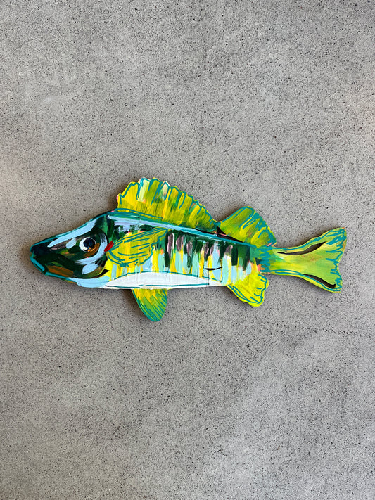 Yellow Perch |  Original by Sasha Jimenez French