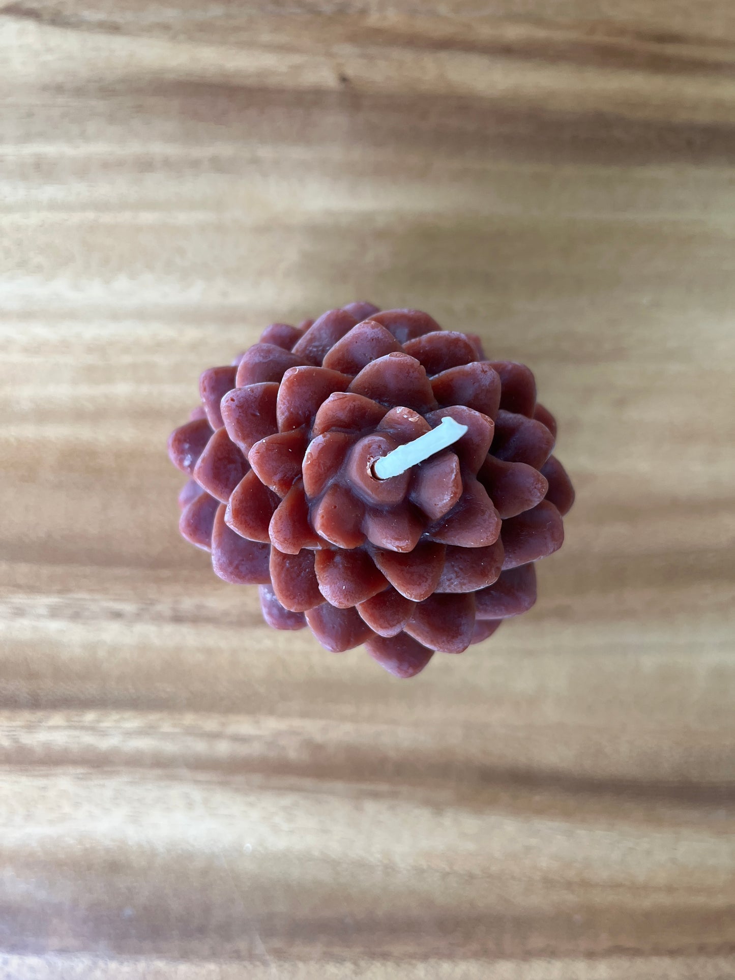 Natural Beeswax Candle | Ponderosa Pine Cone