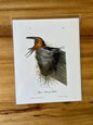 Vintage Audubon Bird Prints – Warblers & Swallows Collection