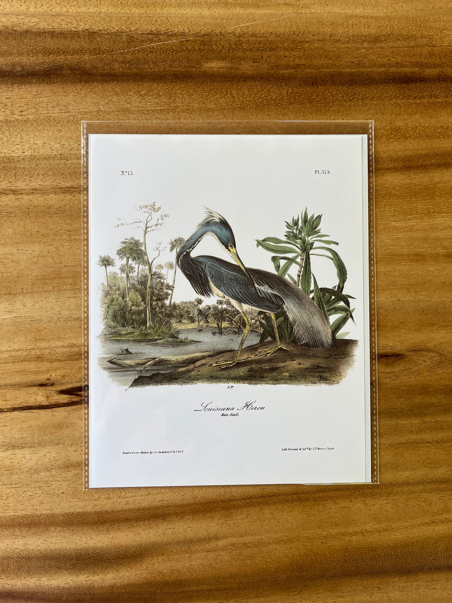 Vintage Audubon Bird Prints – Herons & Cranes Collection