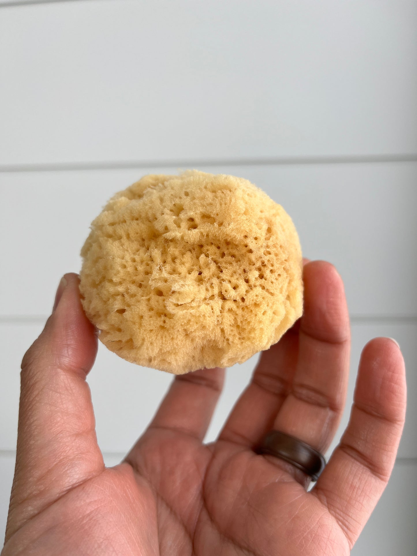 Natural Sea Silk Face Sponge