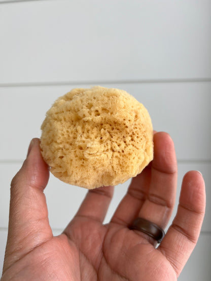 Natural Sea Silk Face Sponge