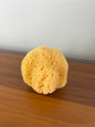 Natural Sea Silk Face Sponge