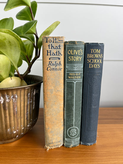 Vintage Book Bundle (1800s-1920s) | Antique Books