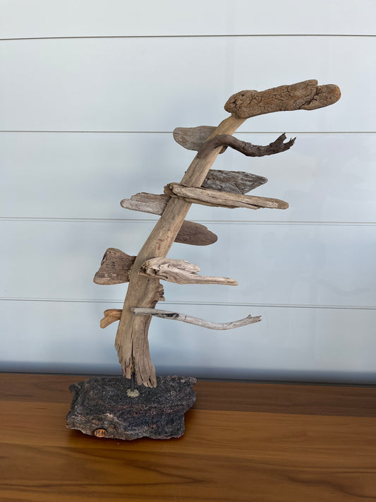 Large Windswept Pine Driftwood Sculpture