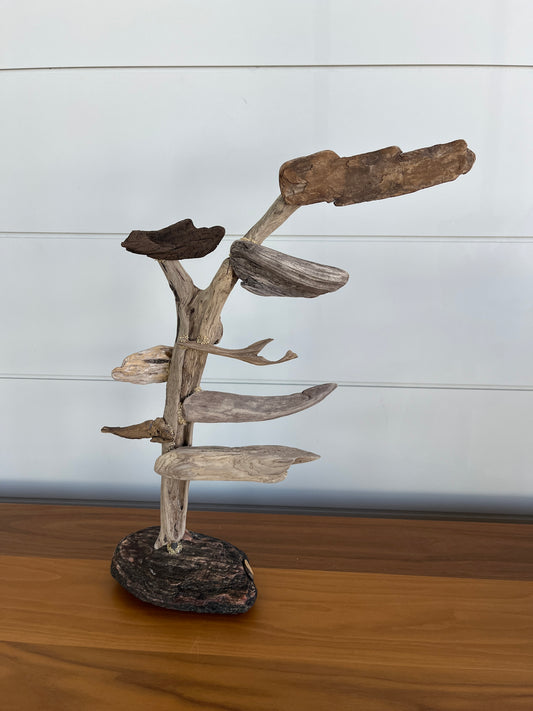 Medium Windswept Pine Driftwood Sculpture
