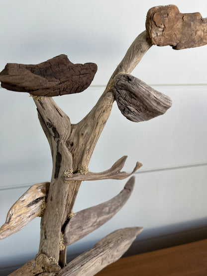 Medium Windswept Pine Driftwood Sculpture