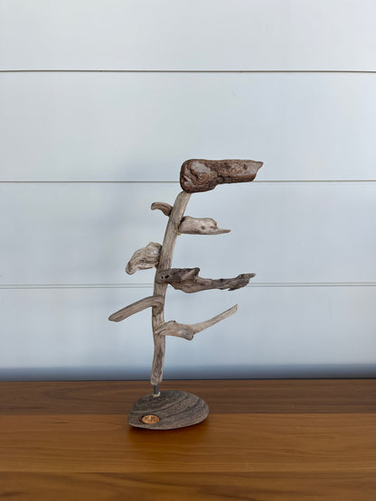 Small Windswept Pine Driftwood Sculpture