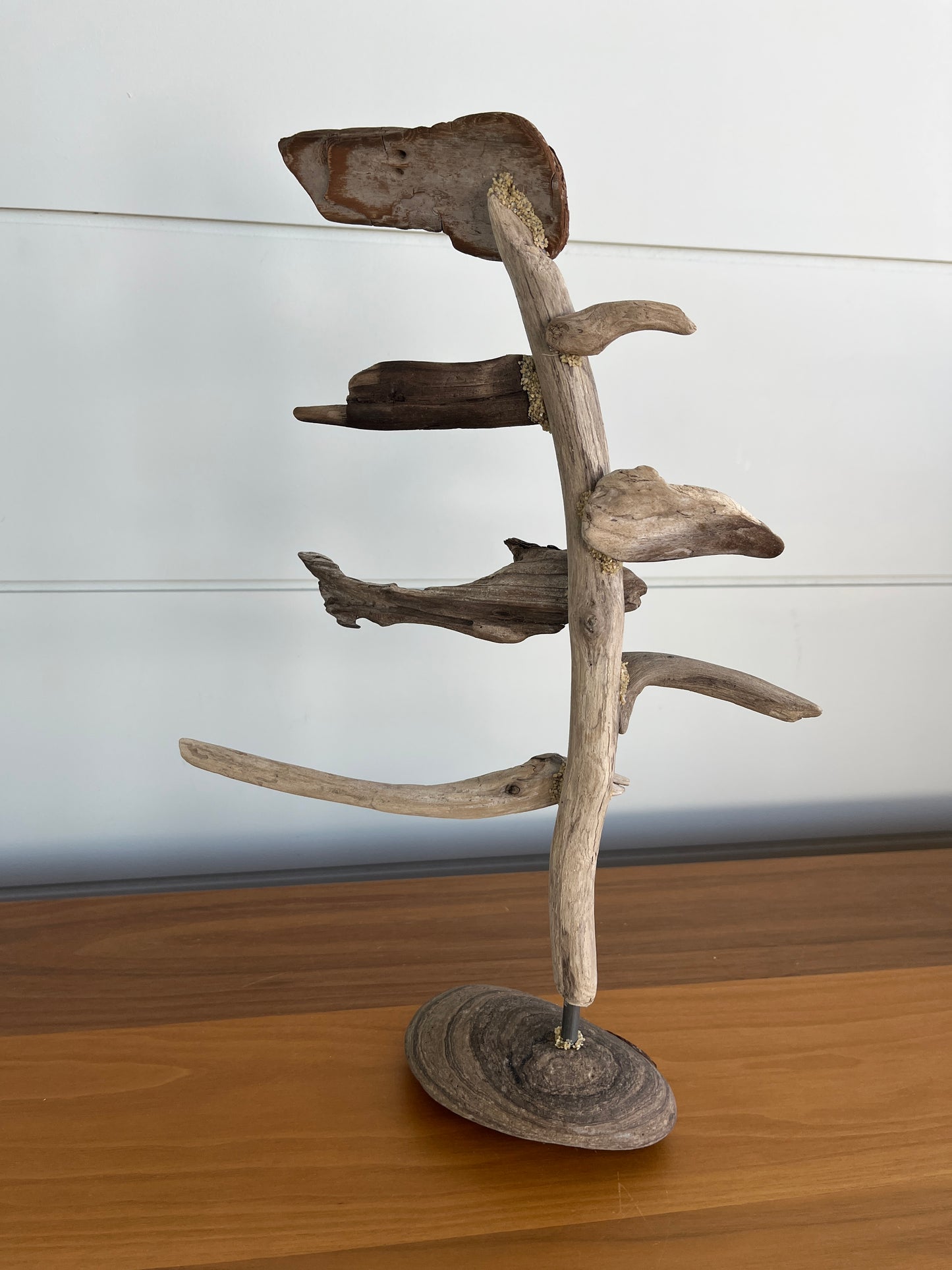 Small Windswept Pine Driftwood Sculpture