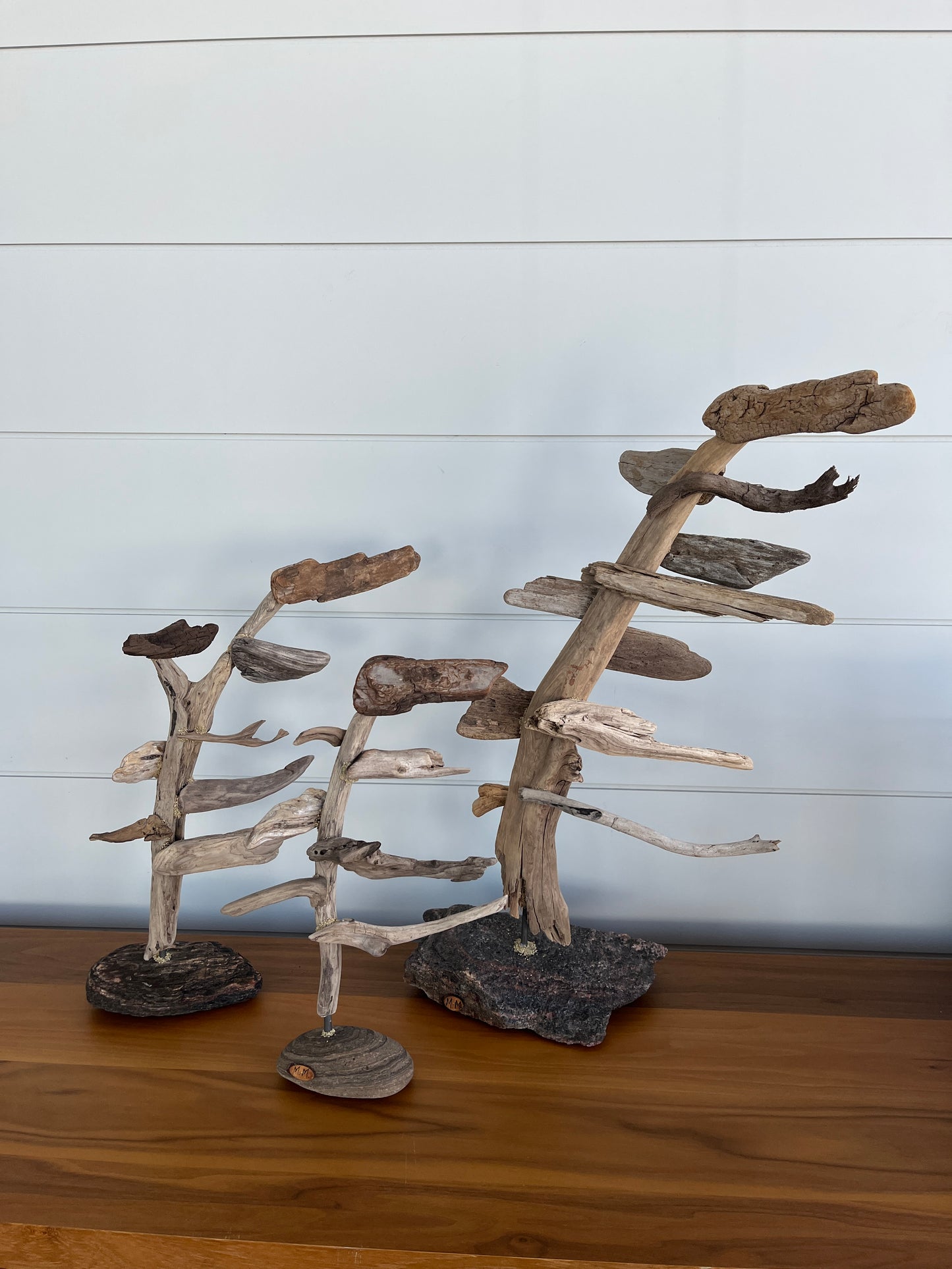 Small Windswept Pine Driftwood Sculpture