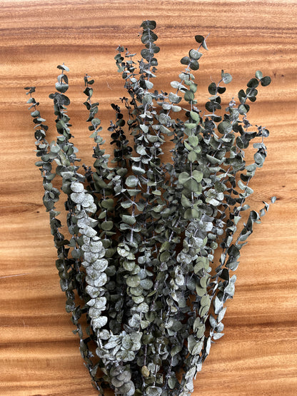 Basil Eucalyptus | Dried Flower Bundle