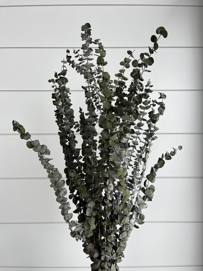 Basil Eucalyptus | Dried Flower Bundle