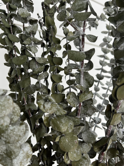 Basil Eucalyptus | Dried Flower Bundle