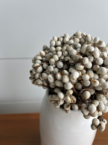 Tallow Berries | Dried Flower Bundle