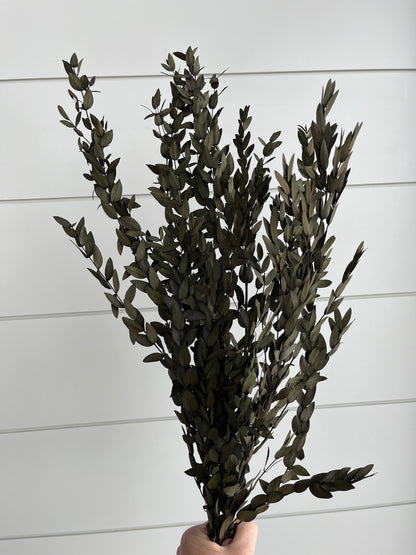 Parvifolia Eucalyptus | Dried Flower Bundle