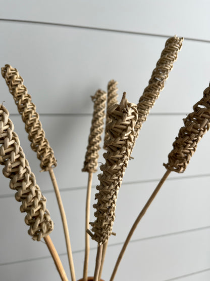 Lata Roller | Dried Flower Bundle