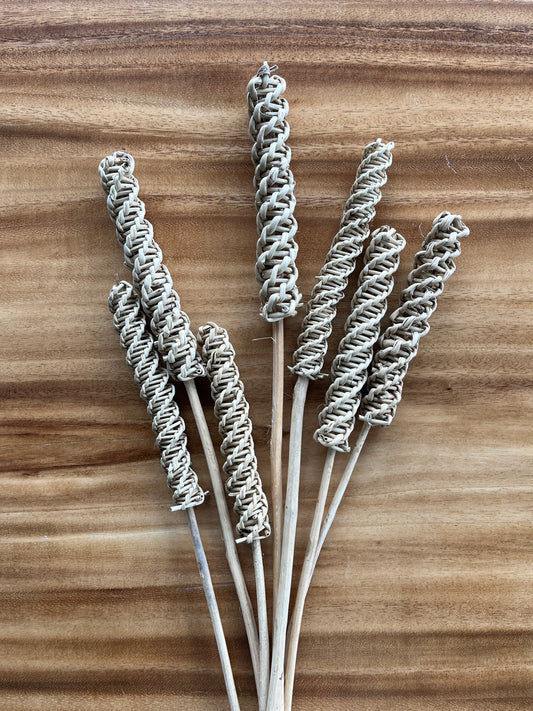 Lata Roller | Dried Flower Bundle