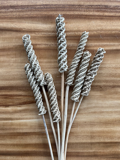 Lata Roller | Dried Flower Bundle
