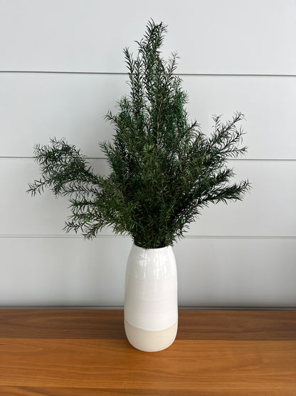 Melaleuca Bracteata | Dried Flower Bundle