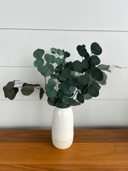 Silver Dollar Eucalyptus | Dried Flower Bundle