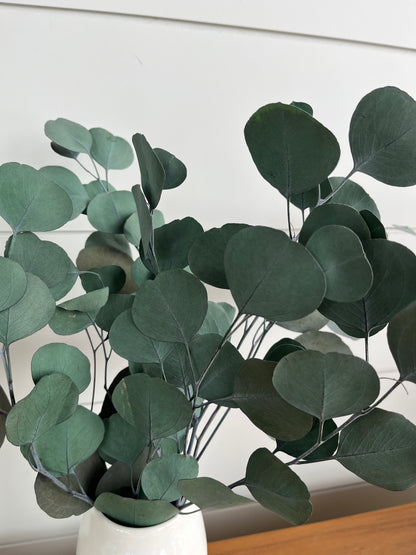 Silver Dollar Eucalyptus | Dried Flower Bundle