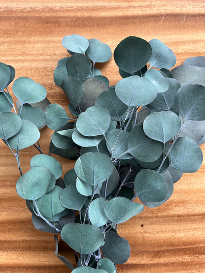 Silver Dollar Eucalyptus | Dried Flower Bundle