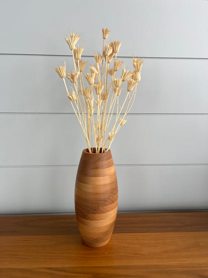 Cream Nigella Star Flowers | Dried Flower Bundle