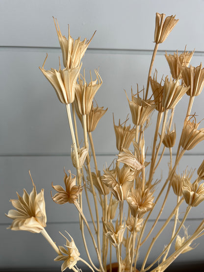 Cream Nigella Star Flowers | Dried Flower Bundle