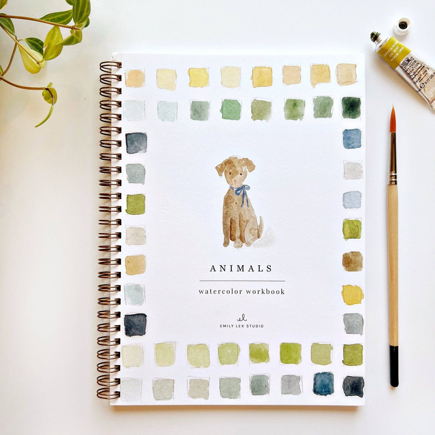 Cahier d'activités aquarelle sur les animaux