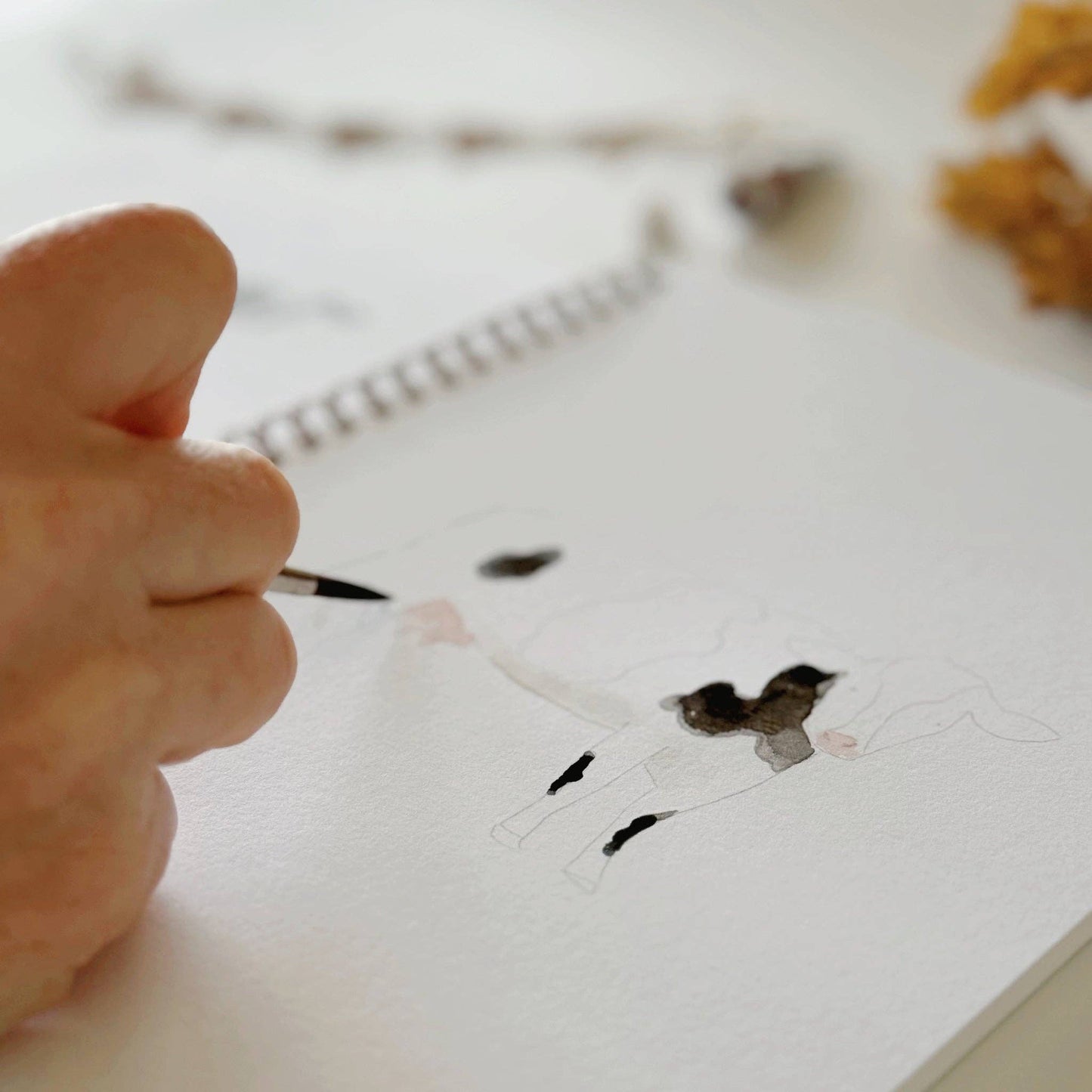 Farm Watercolour Workbook by Emily Lex