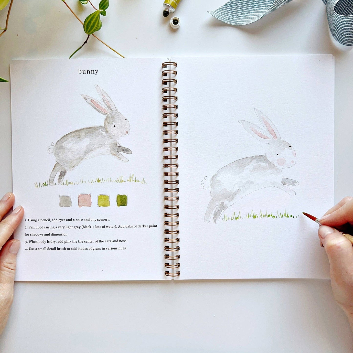 Cahier d'activités aquarelle sur les animaux