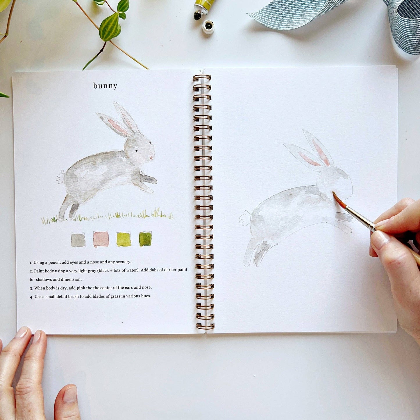 Cahier d'activités aquarelle sur les animaux